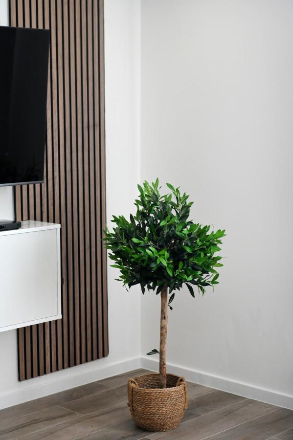 Aura Exclusive Apartment & Room Zadar Ngoại thất bức ảnh